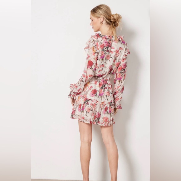 PAIGE NWOT Garcelle Dress ads: XS - Picture 4 of 6